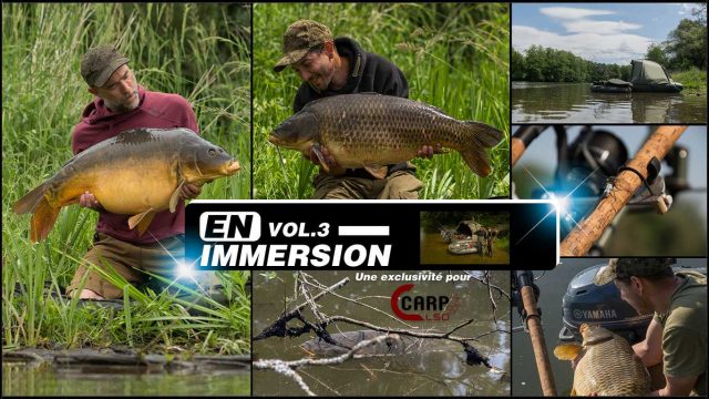EN IMMERSION 3