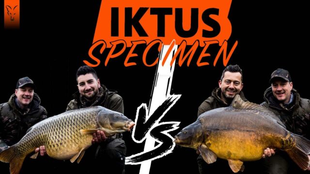 FOX sur CARP RUSH TV