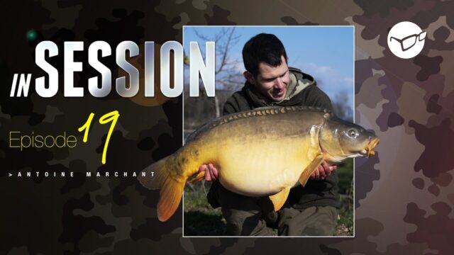 KORDA SUR CARP RUSH TV