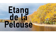 ETANG DE LA PELOUSE SUR CARP RUSH TV