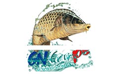 GN CARPE TV sur CARP RUSH TV | Le meilleur spot de videos 100% Carpe