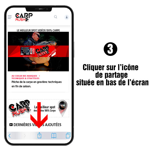 APPLICATION SAFARI CARP RUSH TV
