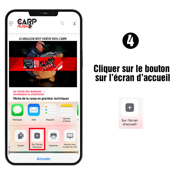 APPLICATION SAFARI CARP RUSH TV