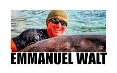 EMMANUEL WALT SUR CARP RUSH TV