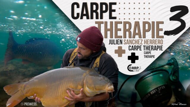 CARPE THERAPIE 3 SUR CARP RUSH TV