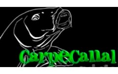 CARPECANAL SUR CARP RUSH TV